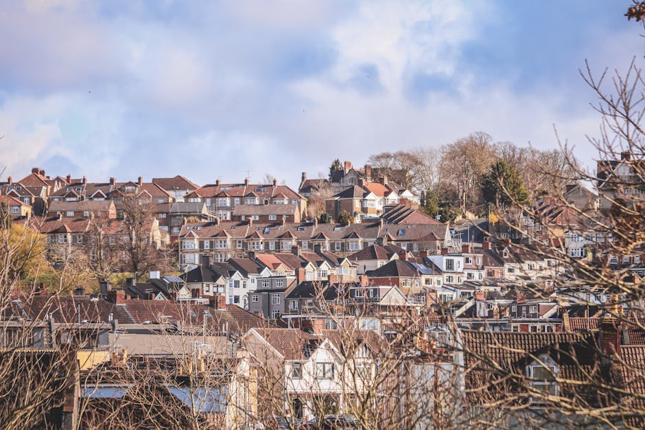 A panoramic view of a densely populated residential area with numerous houses situated on a hillside, featuring a variety of architectural styles and roof types including tiled and flat roofs. The foreground shows leafless tree branches indicating the season is likely late fall or winter, with some construction materials and debris visible among the houses. Behind the houses, a clear sky with some clouds can be seen, suggesting daytime. The image captures the urban landscape typical for a home relocation or moving process, relevant to services offered by Man with Van South Woodford, which specialises in removals and furniture transport within the South Woodford area.