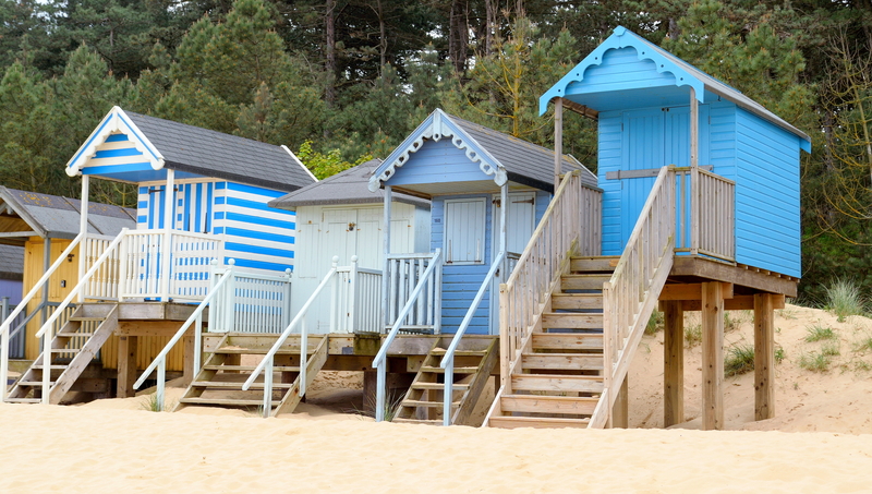 moving company moving services